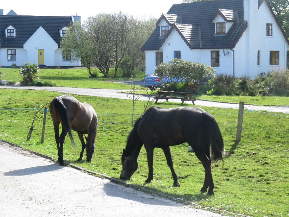Letterfrack Farm Cottage In Village On A Farm Beside Connemara National Park Buitenkant foto